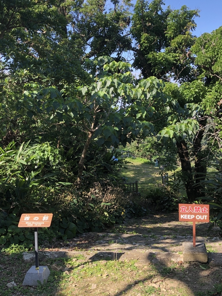 f:id:yuucamp:20190129194207j:plain