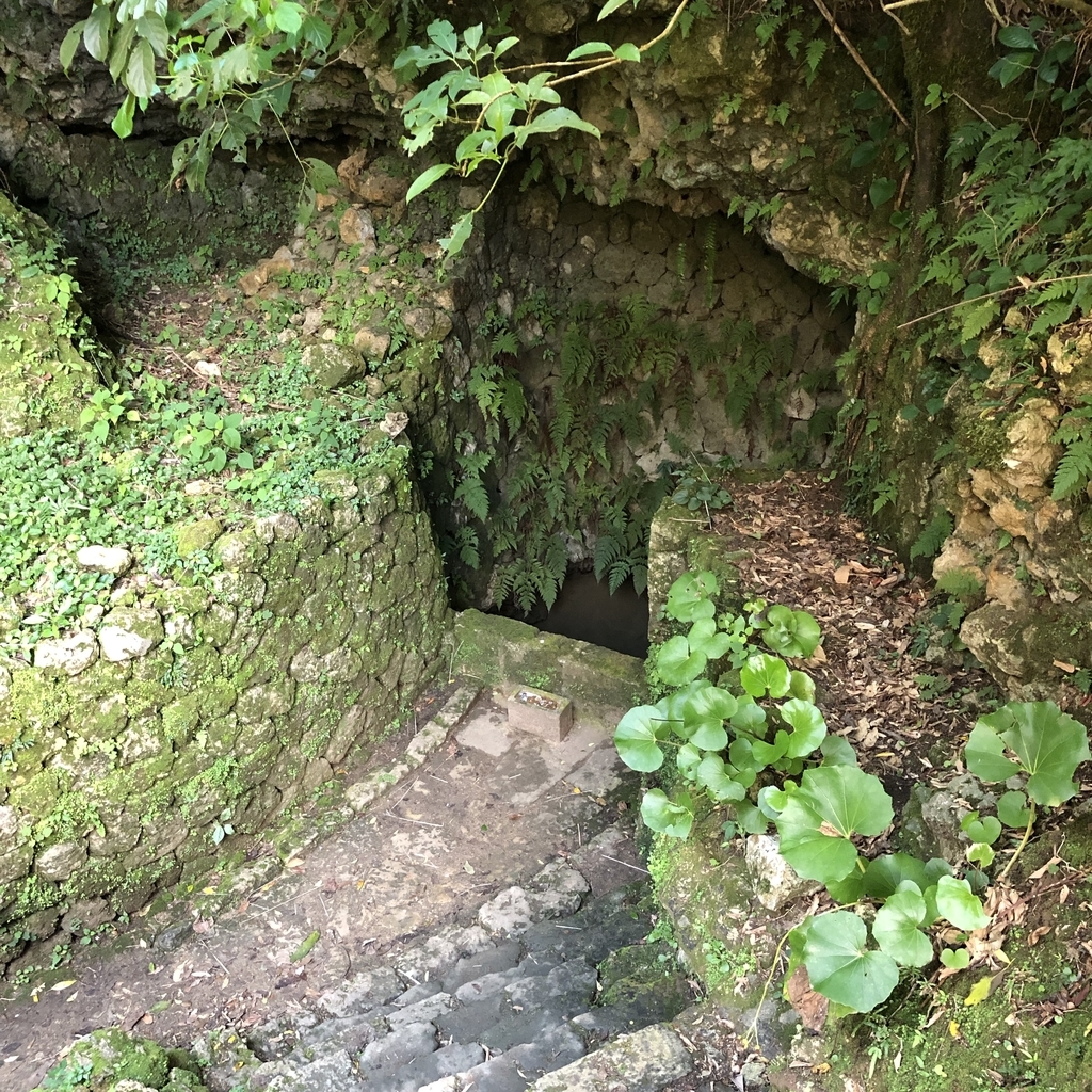 f:id:yuucamp:20190129194852j:plain