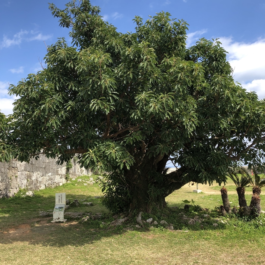 f:id:yuucamp:20190129224503j:plain f:id:yuucamp:20190129224503j:plain