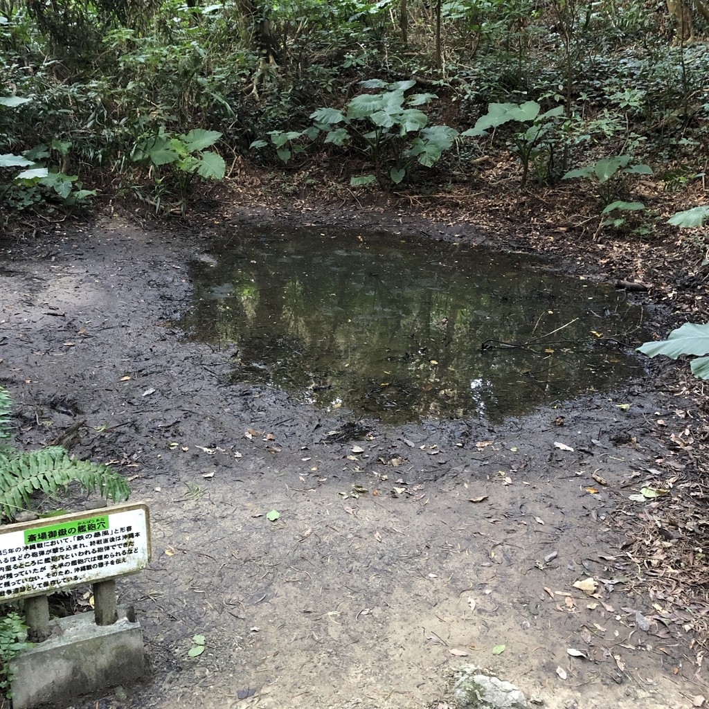 f:id:yuucamp:20190129233249j:plain f:id:yuucamp:20190129233249j:plain