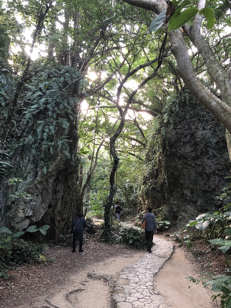 f:id:yuucamp:20190129233538j:plain f:id:yuucamp:20190129233538j:plain