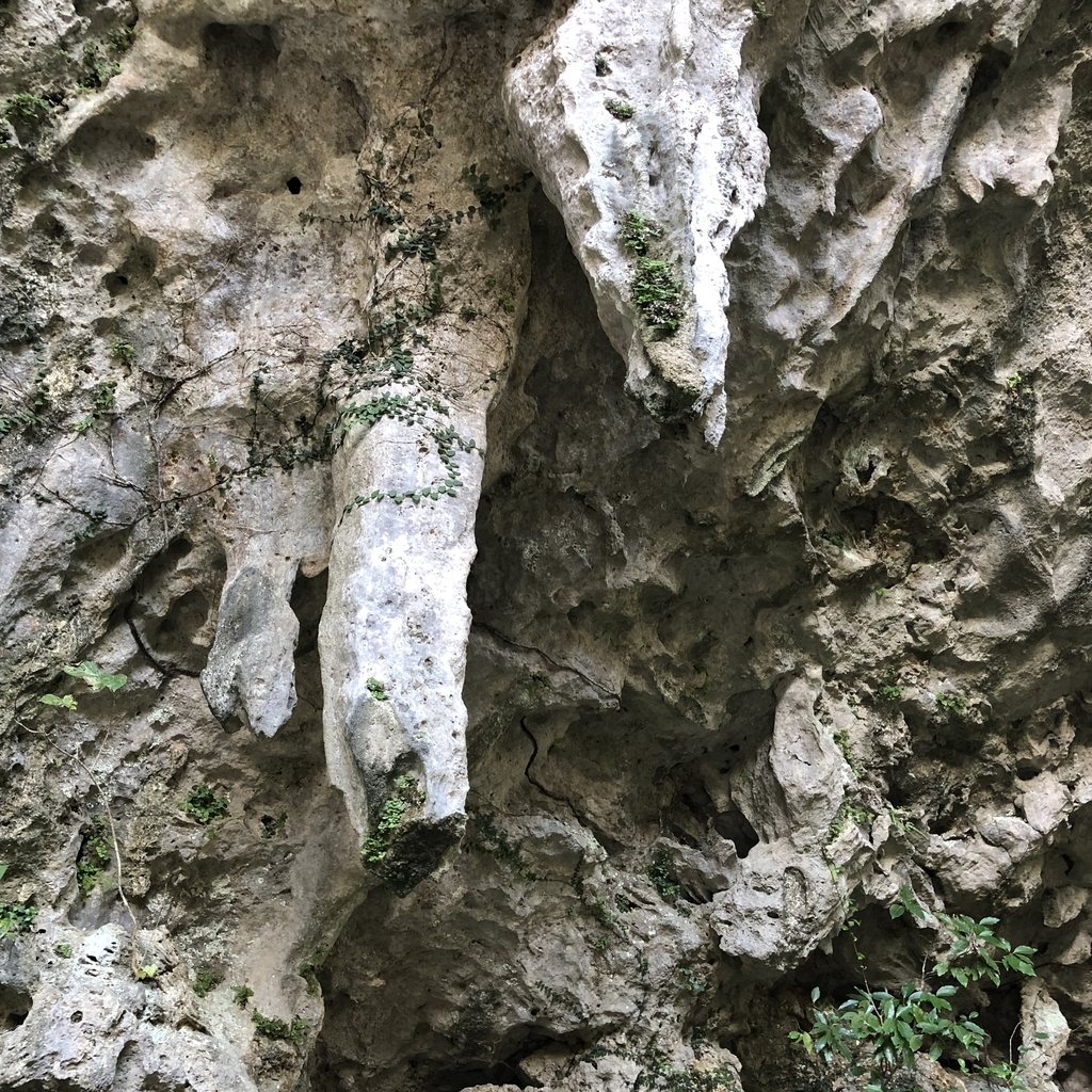 f:id:yuucamp:20190202015206j:plain f:id:yuucamp:20190202015206j:plain