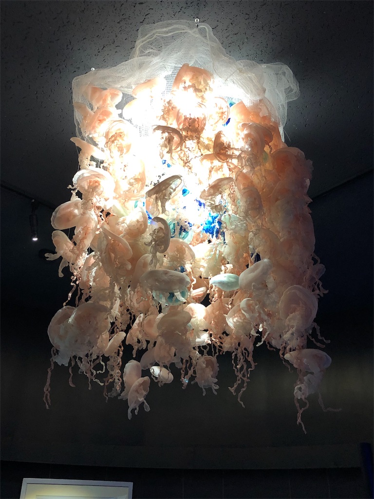 f:id:yuucamp:20190910081014j:image f:id:yuucamp:20190910081014j:image