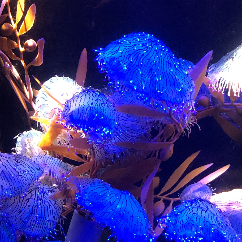 f:id:yuucamp:20190911074508j:image f:id:yuucamp:20190911074508j:image