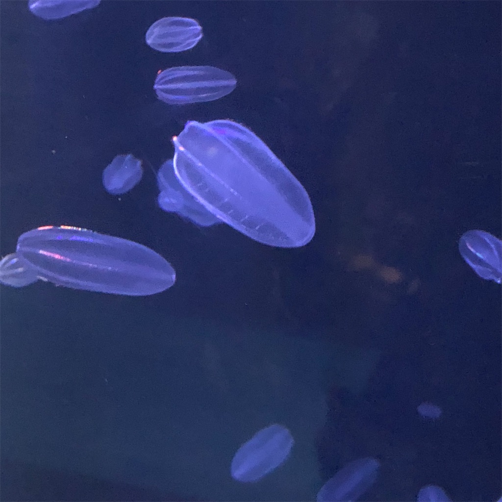 f:id:yuucamp:20190912080141j:image f:id:yuucamp:20190912080141j:image