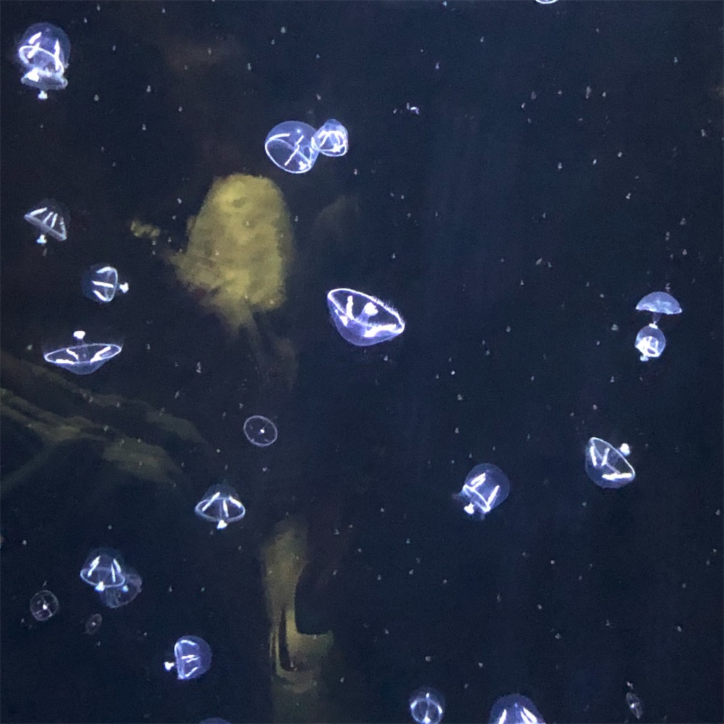 f:id:yuucamp:20190912155917j:image f:id:yuucamp:20190912155917j:image