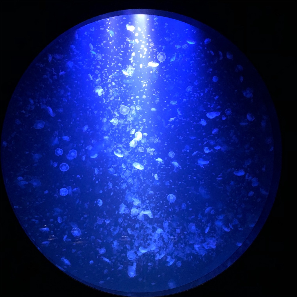 f:id:yuucamp:20190912160843j:image f:id:yuucamp:20190912160843j:image