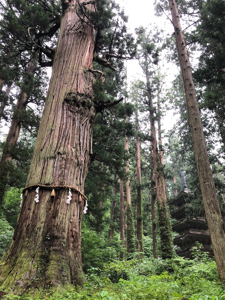 f:id:yuucamp:20190913080728j:image