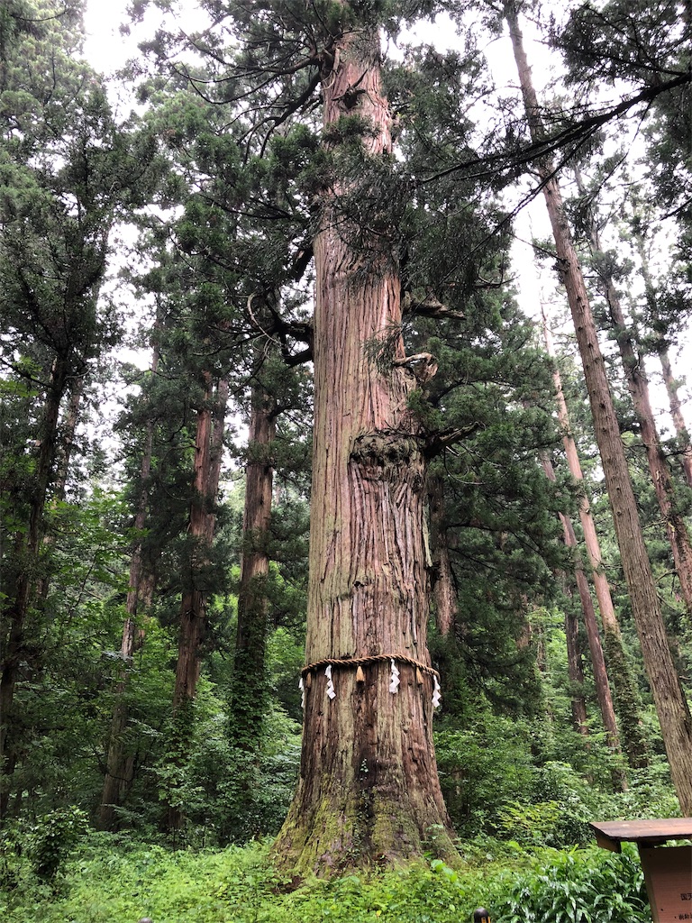 f:id:yuucamp:20190913080732j:image