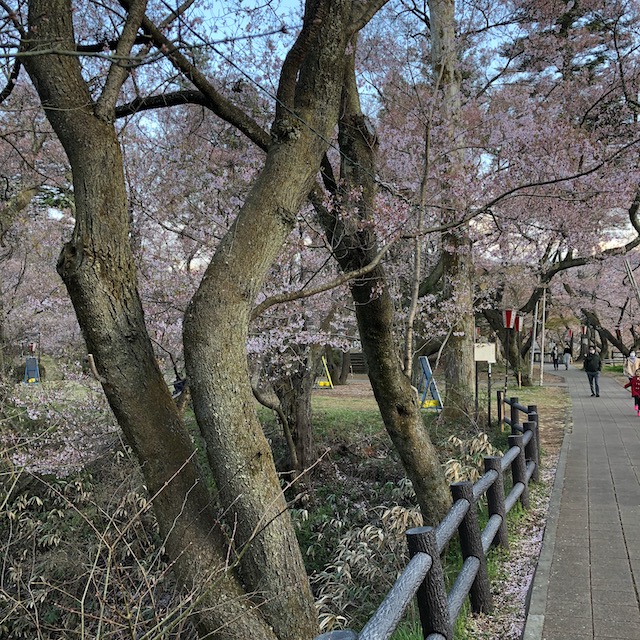 f:id:yuucamp:20210501010022j:plain