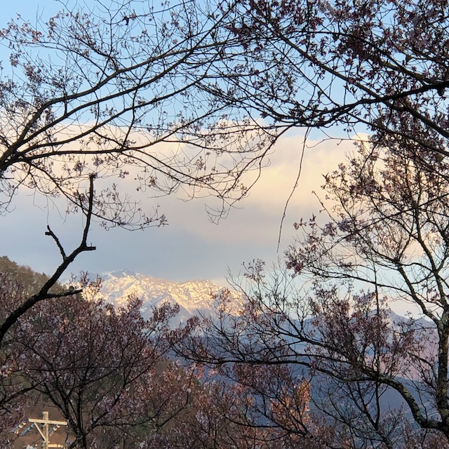 f:id:yuucamp:20210501011113j:plain