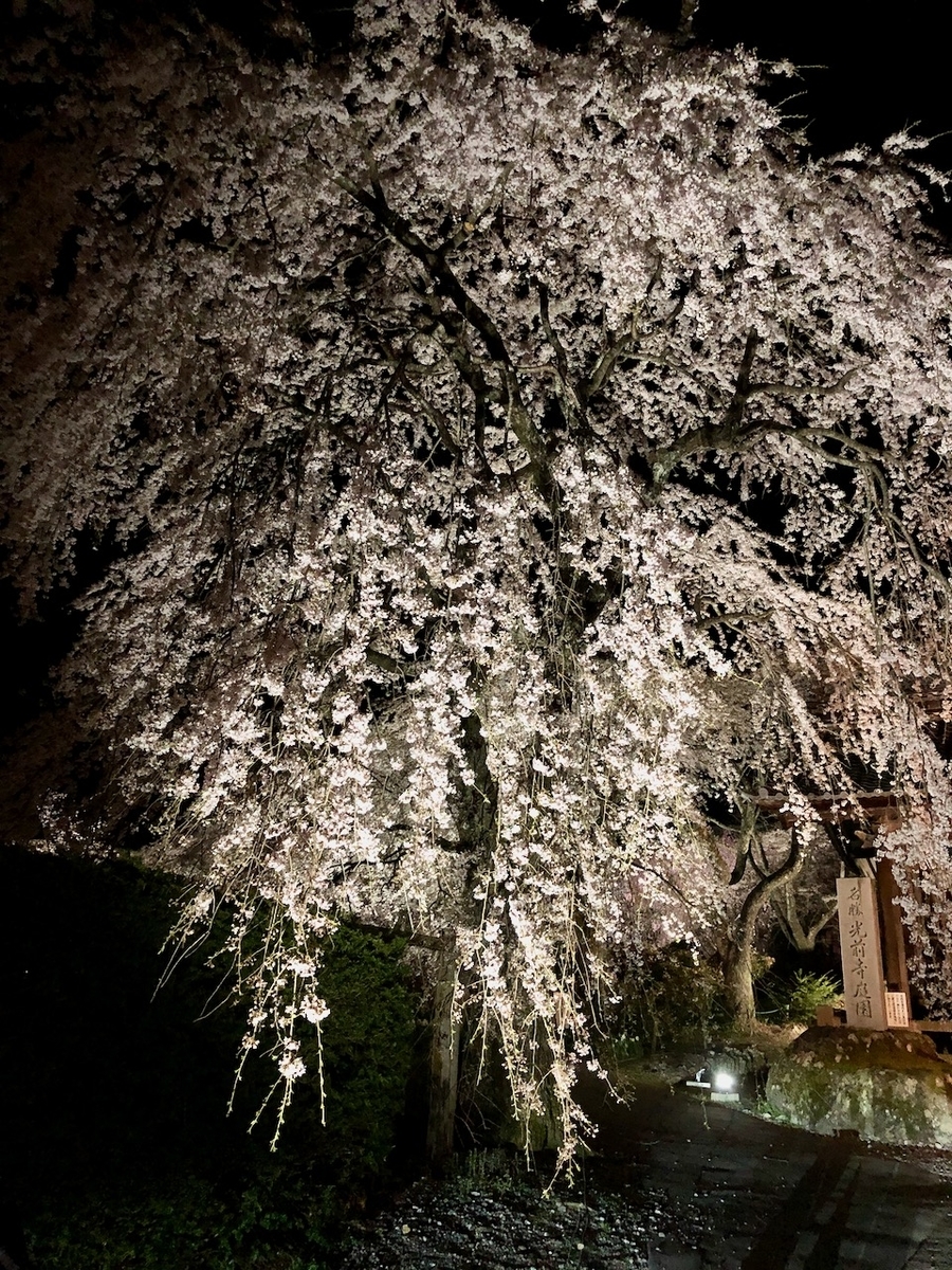 f:id:yuucamp:20210503231113j:plain