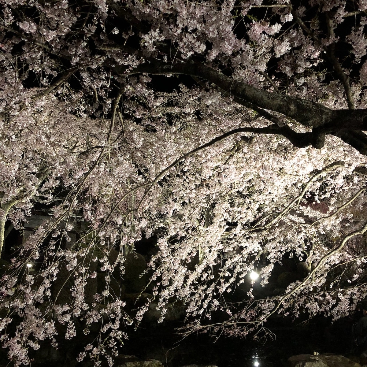 f:id:yuucamp:20210504000438j:plain