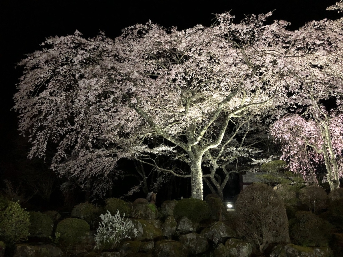 f:id:yuucamp:20210504000716j:plain