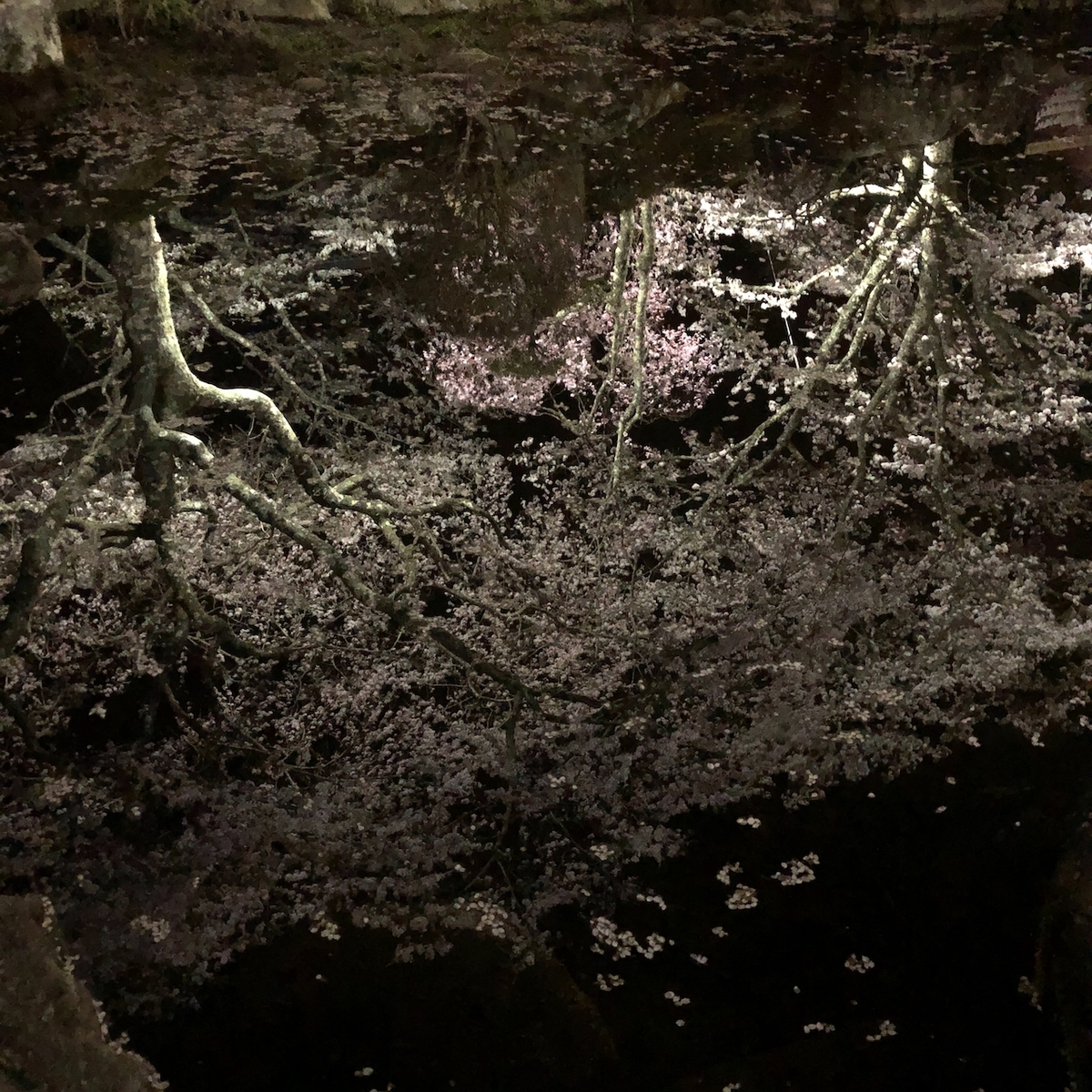 f:id:yuucamp:20210504001000j:plain