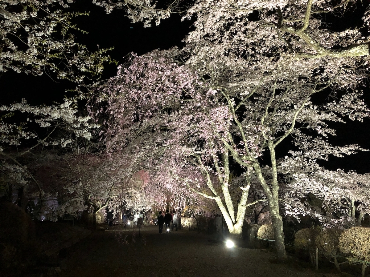 f:id:yuucamp:20210504001419j:plain