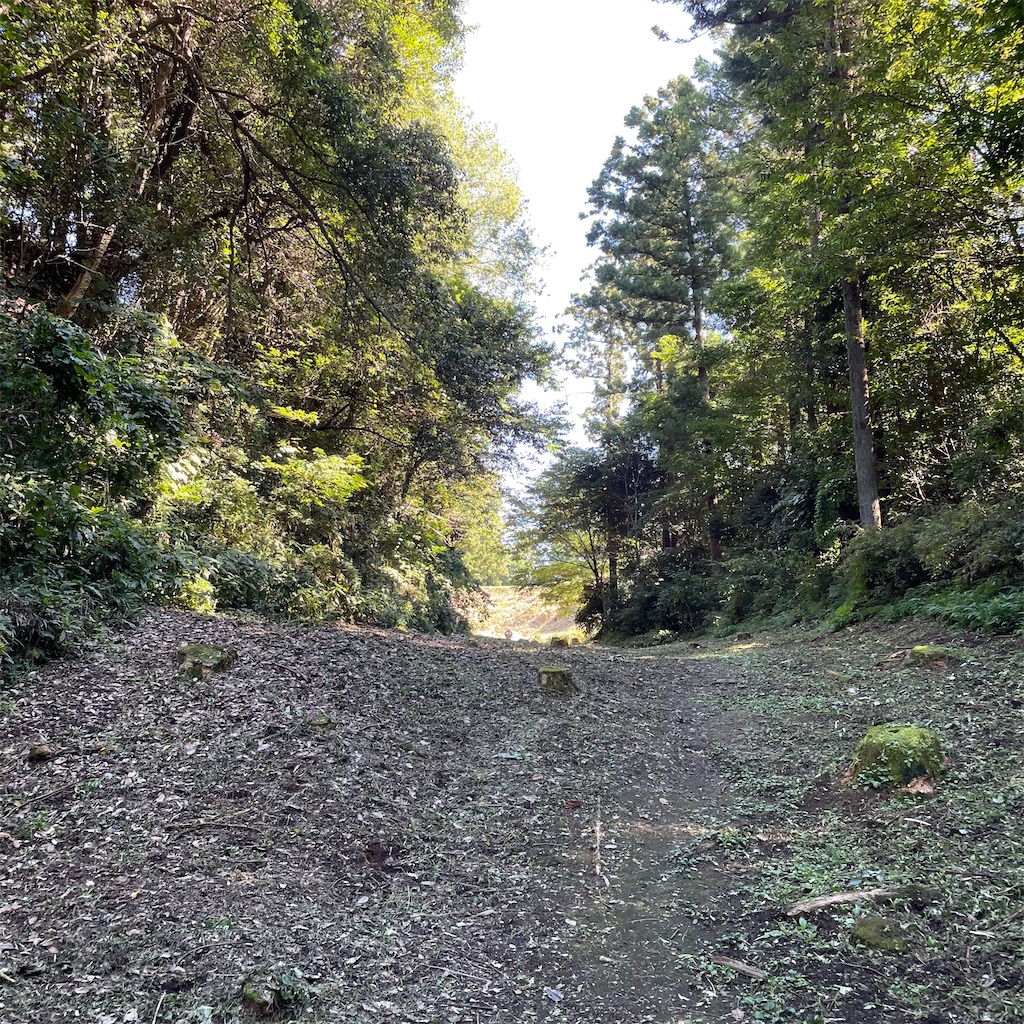 f:id:yuucamp:20211128193446j:plain