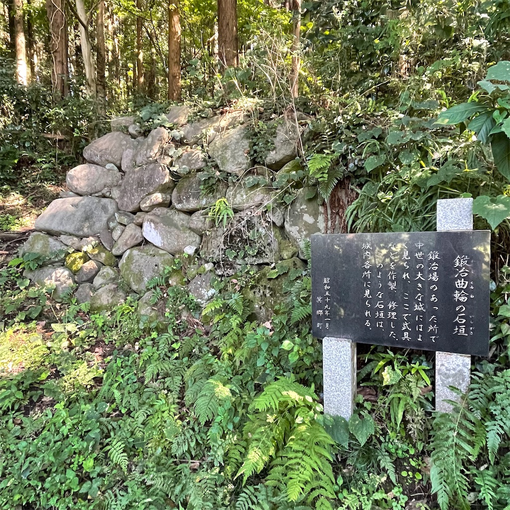 f:id:yuucamp:20211128193702j:plain