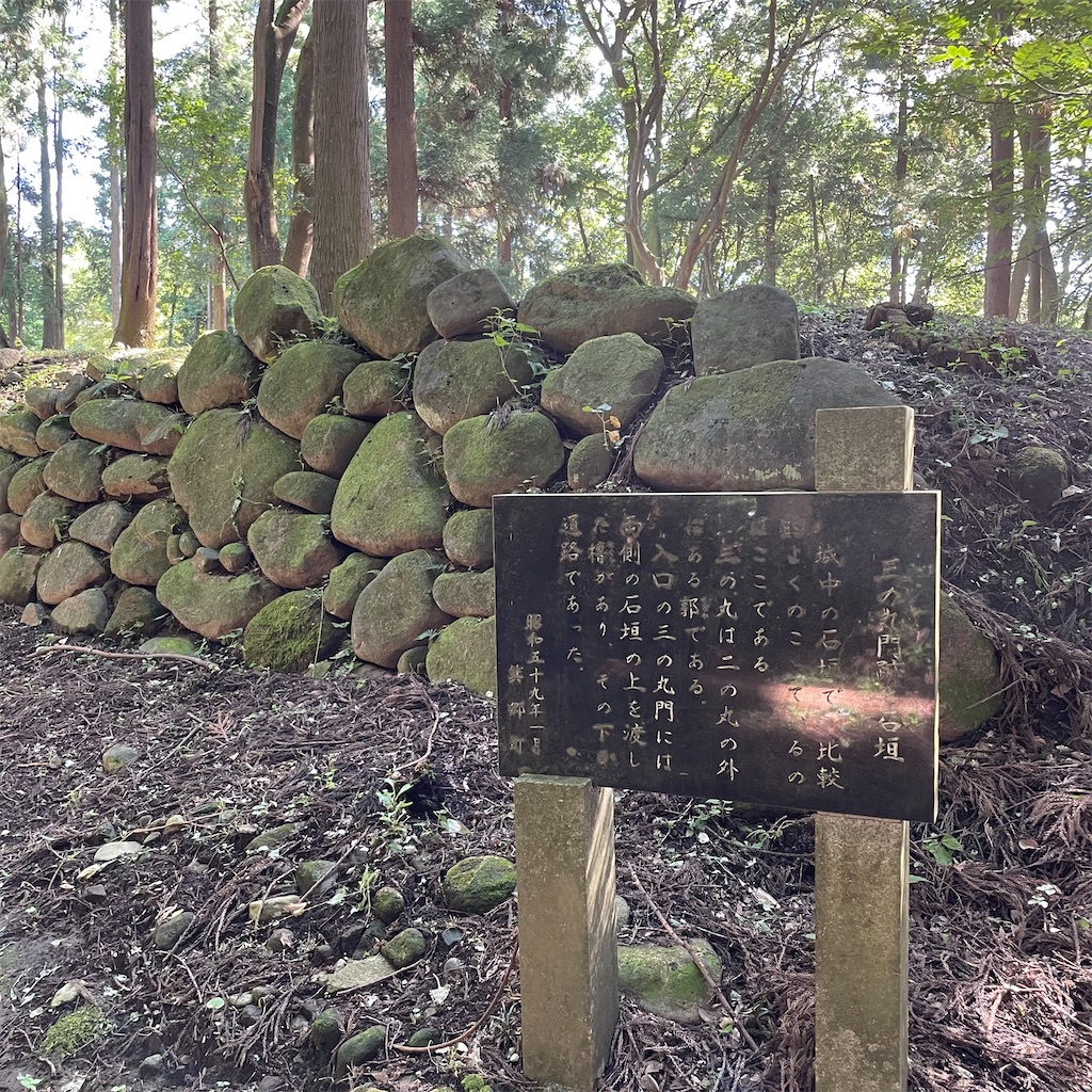 f:id:yuucamp:20211128193705j:plain