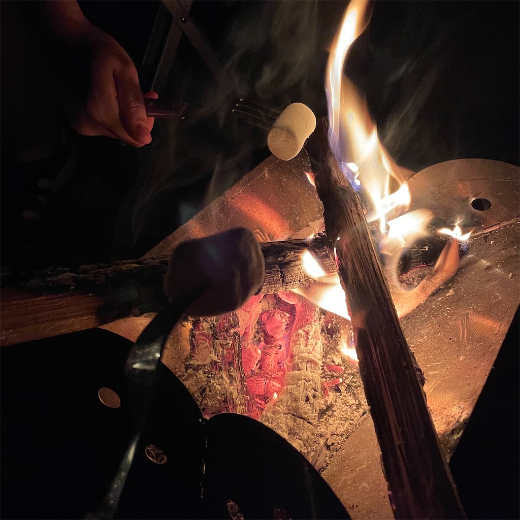 f:id:yuucamp:20211128203340j:plain