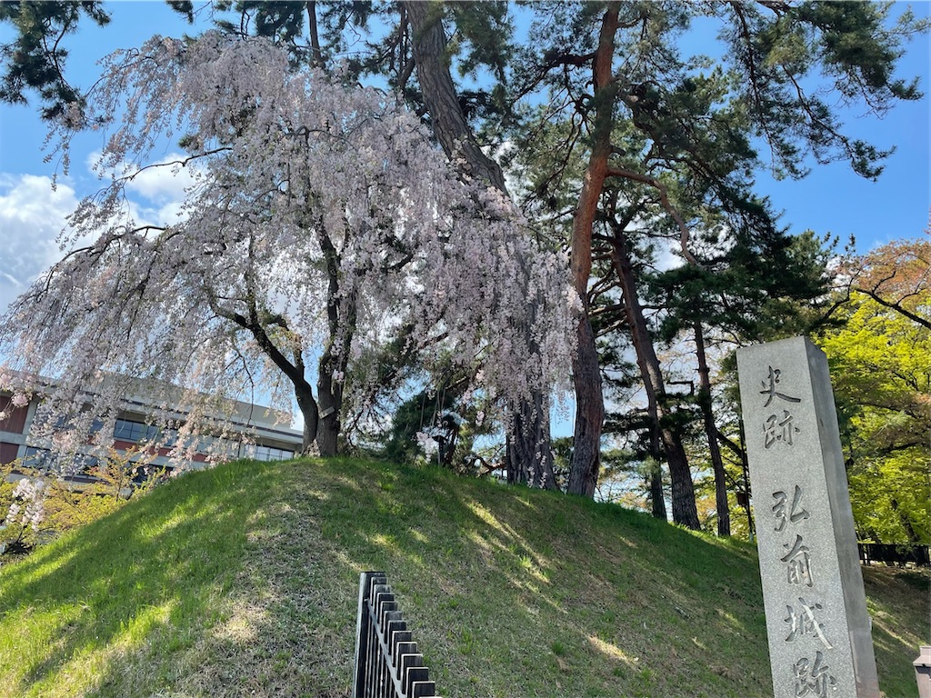 f:id:yuucamp:20221231010348j:image f:id:yuucamp:20221231010348j:image