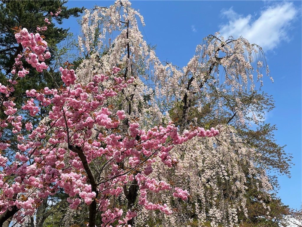 f:id:yuucamp:20221231010400j:image f:id:yuucamp:20221231010400j:image