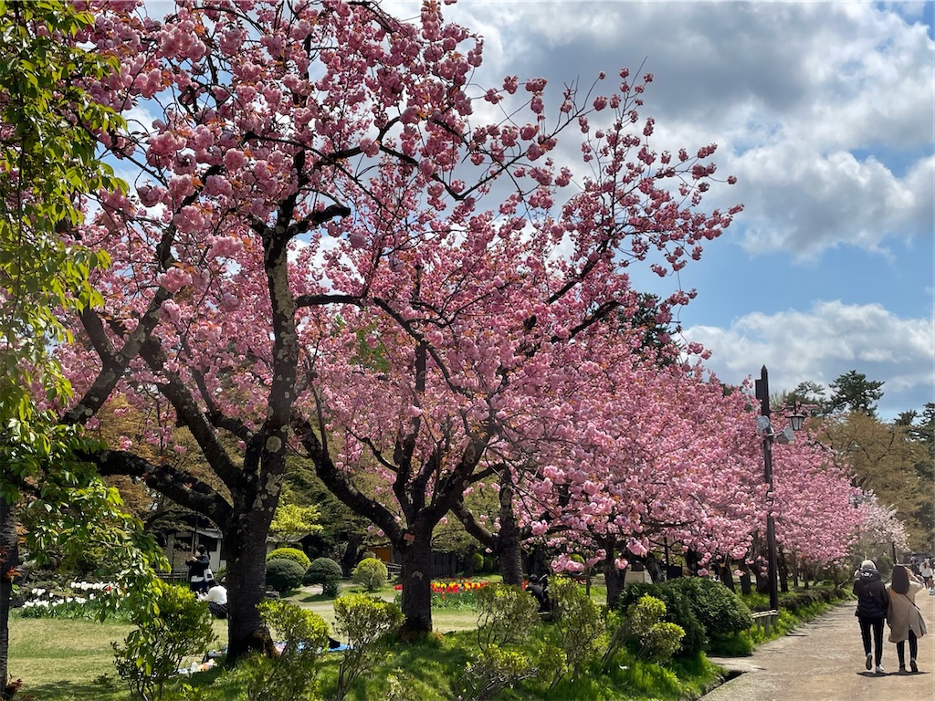 f:id:yuucamp:20221231010412j:image f:id:yuucamp:20221231010412j:image