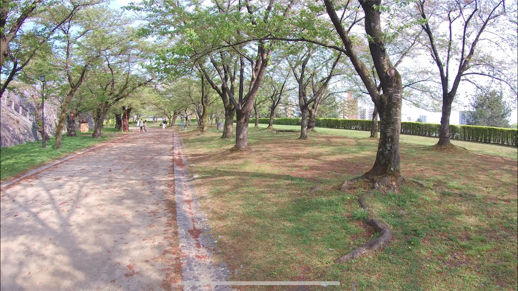 f:id:yuucamp:20221231185133j:image