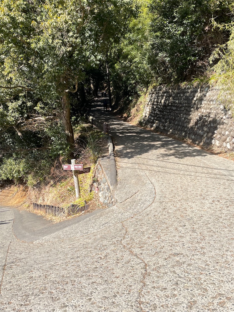 f:id:yuucamp:20230321002206j:image