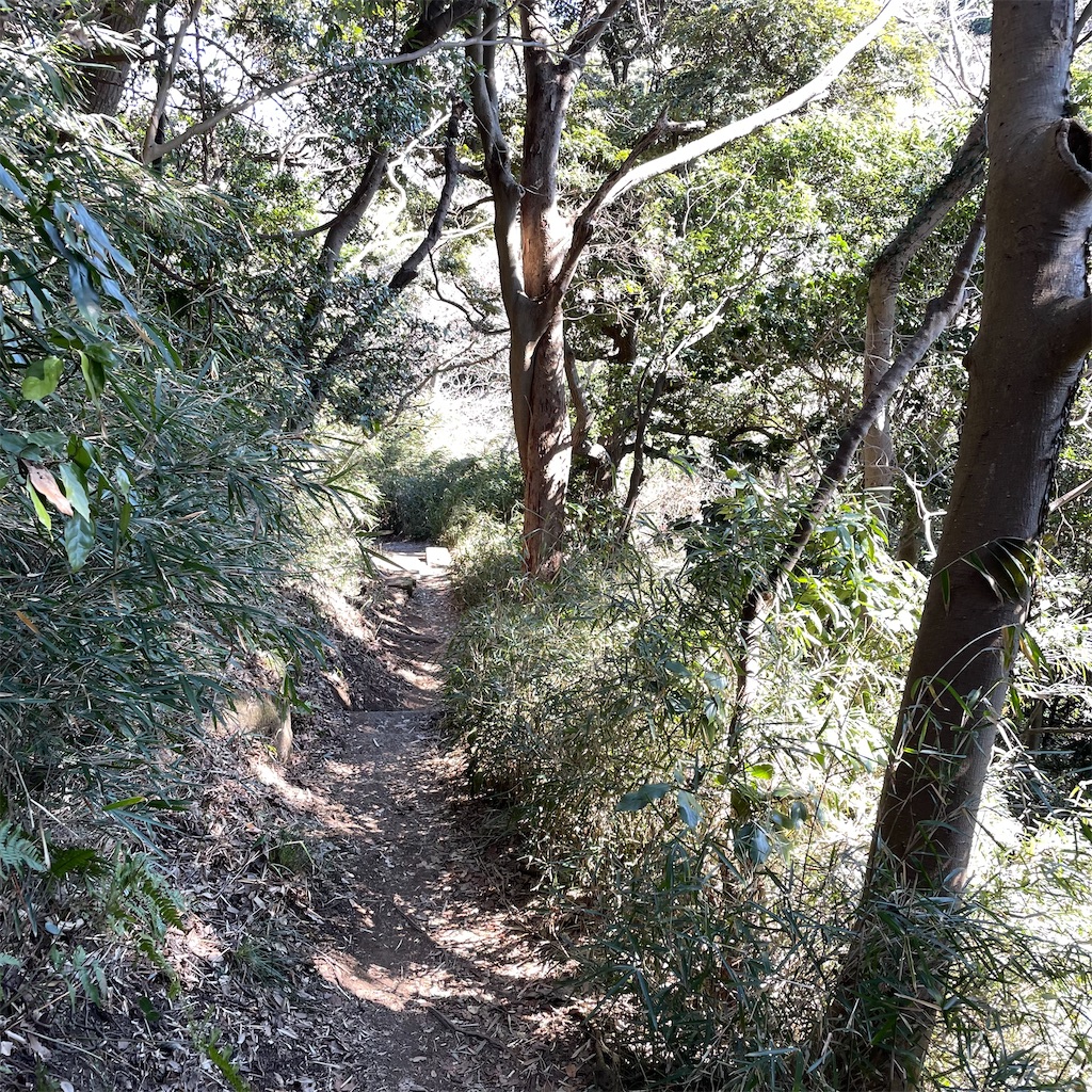 f:id:yuucamp:20230322210155j:image f:id:yuucamp:20230322210155j:image