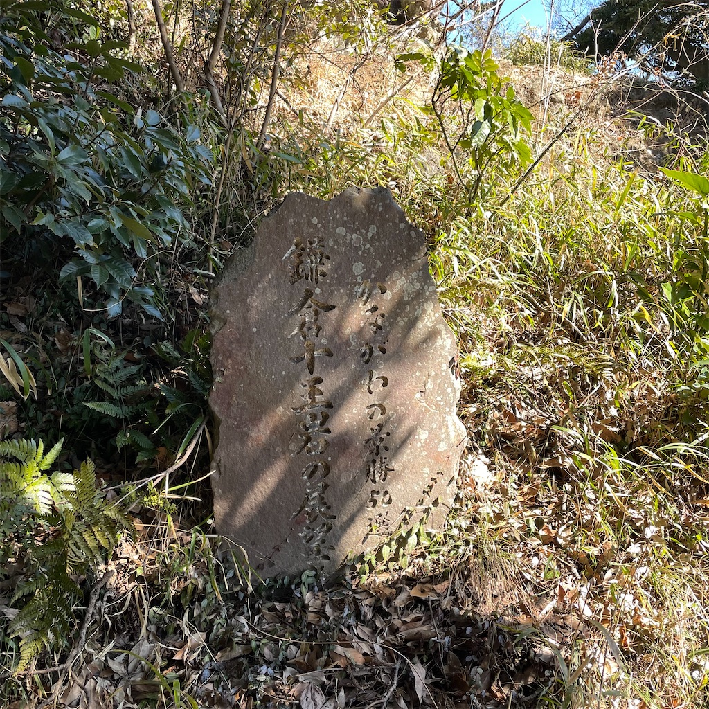 f:id:yuucamp:20230322210214j:image f:id:yuucamp:20230322210214j:image